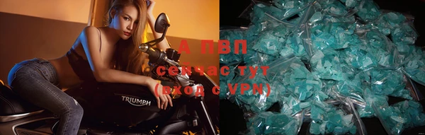 прущие крисы Магас