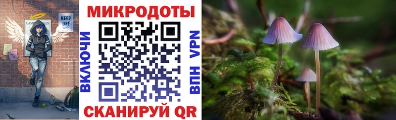 Купить где  Тетюши  Псилоцибиновые грибы мицелий 